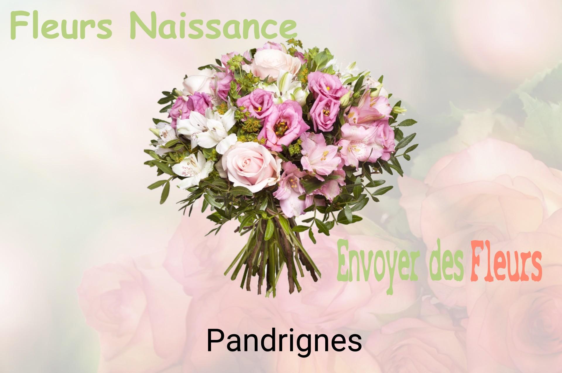 Bouquet de fleurs de naissance livré à Pandrignes
